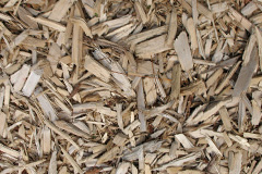 biomass boilers Toller Porcorum
